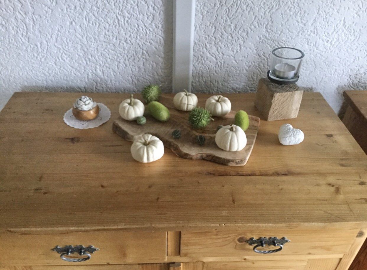 Baby Boos u. Ziergurken