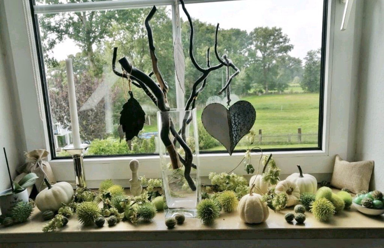 Baby Boos u. Zierkürbisse