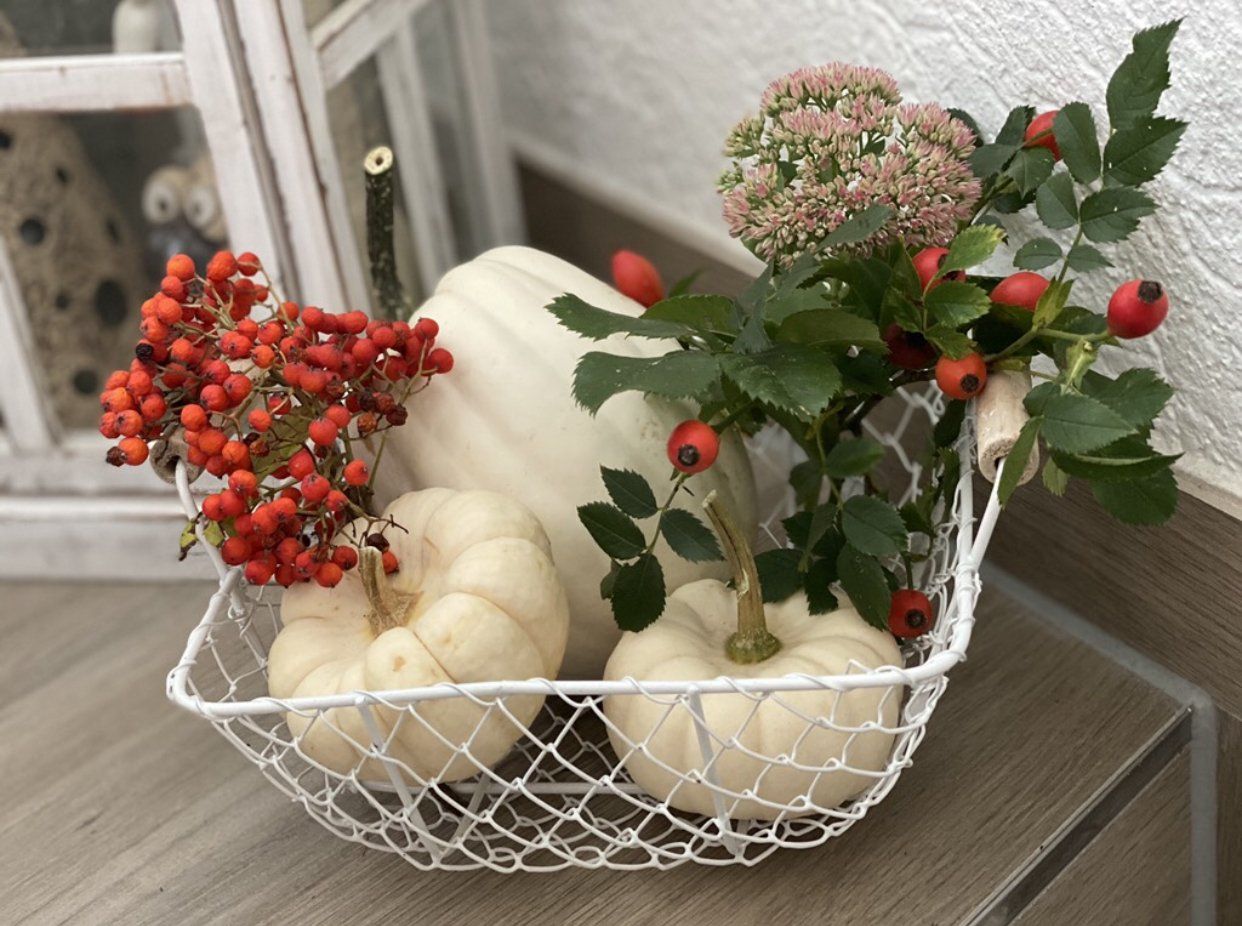 Baby Boos und Zierkürbisse