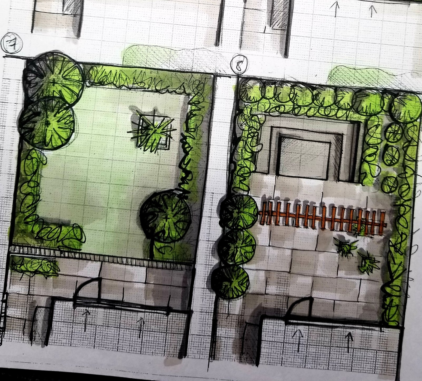 Wildlife friendly garden design with better climate resilience and responsible water use in  mind. Hand drawn designs, plans and illustrations, Oundle, Stamford, Peterborough, London and UK