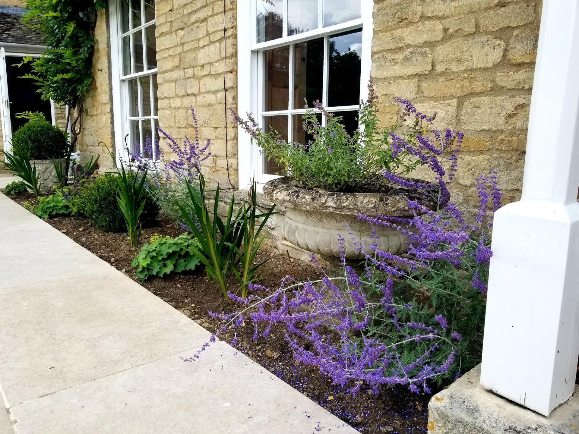 Wildlife friendly garden design with better climate resilience and responsible water use in  mind. Hand drawn designs, plans and illustrations, Oundle, Stamford, Peterborough, London and UK