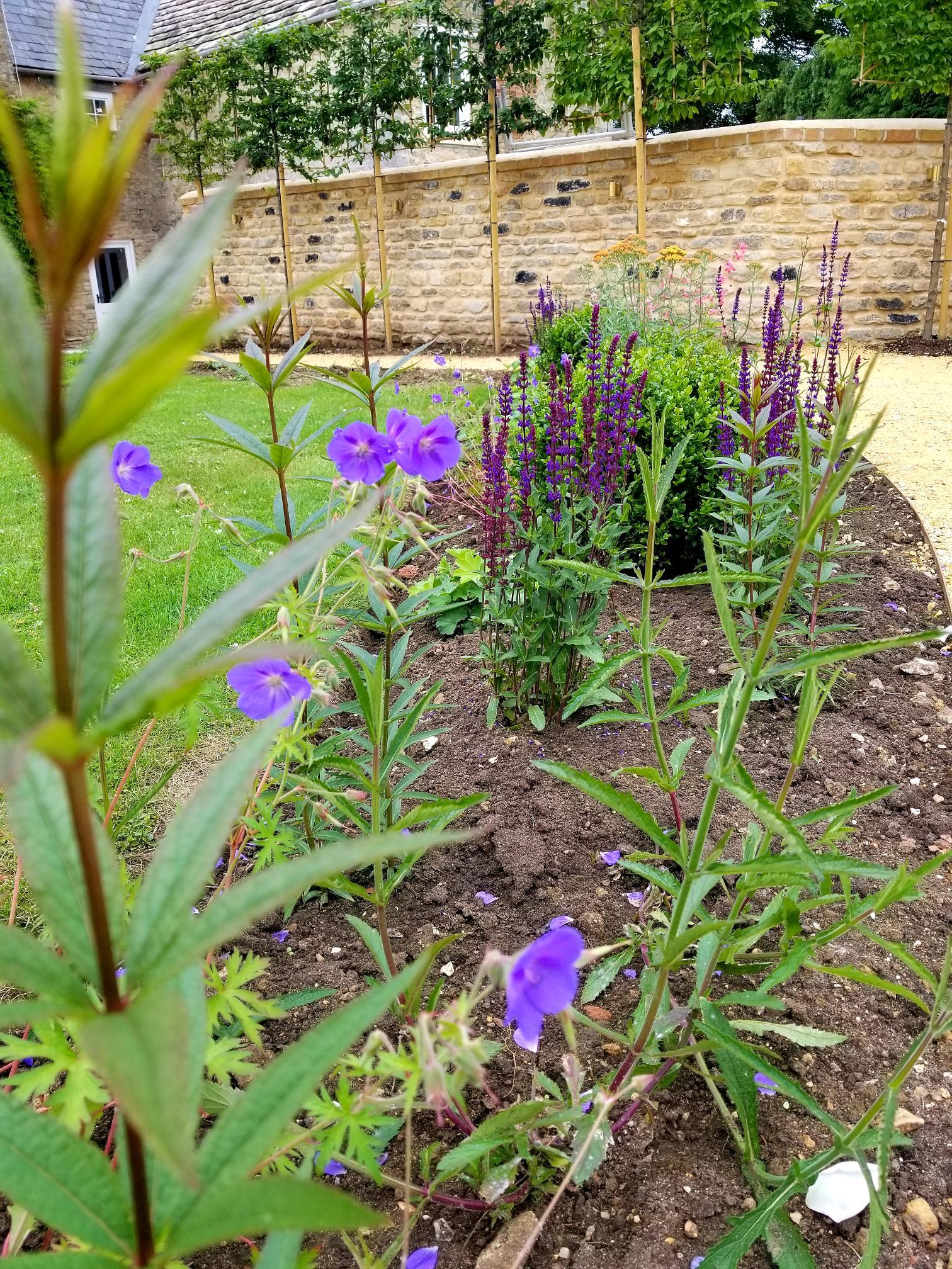 Wildlife friendly garden design with better climate resilience and responsible water use in  mind. Hand drawn designs, plans and illustrations, Oundle, Stamford, Peterborough, London and UK