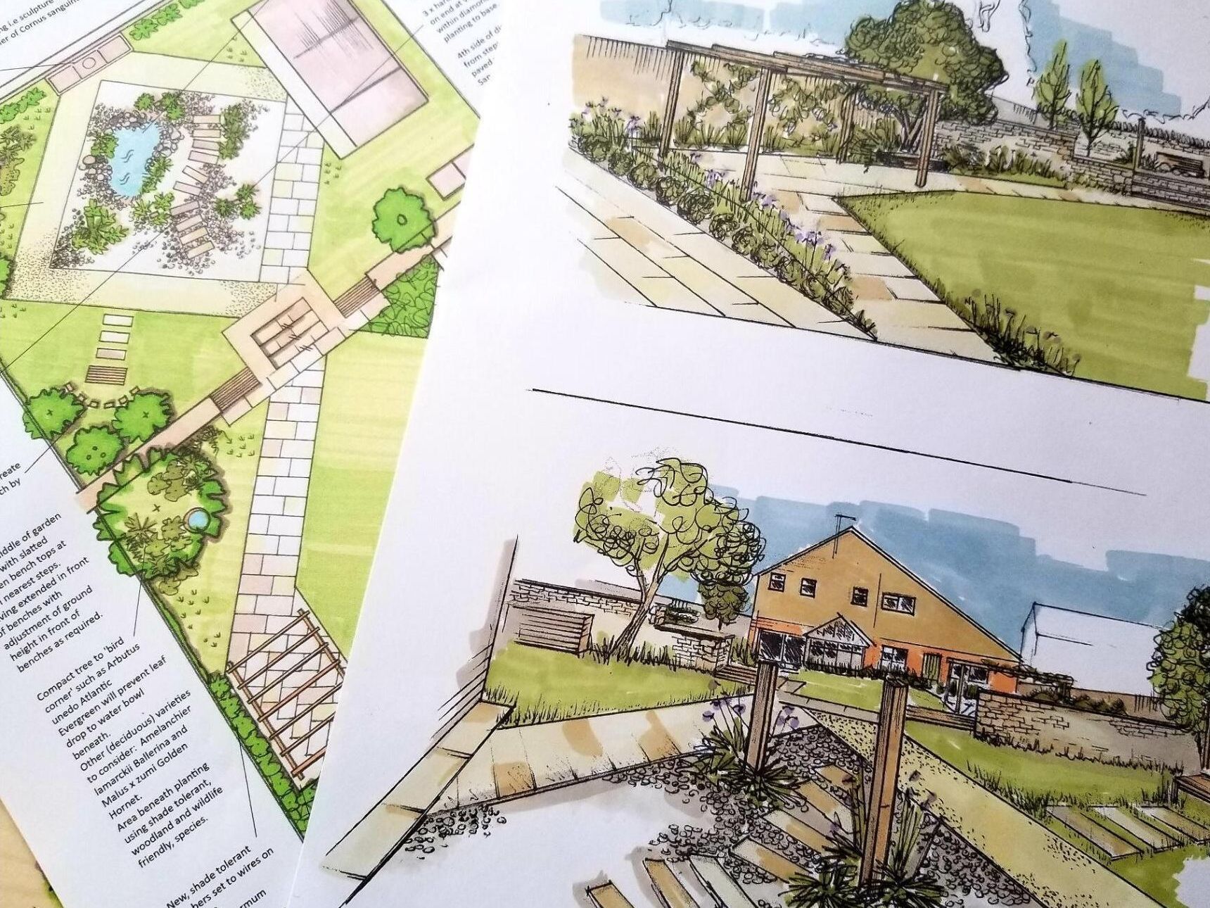 Wildlife friendly garden design with better climate resilience and responsible water use in mind.