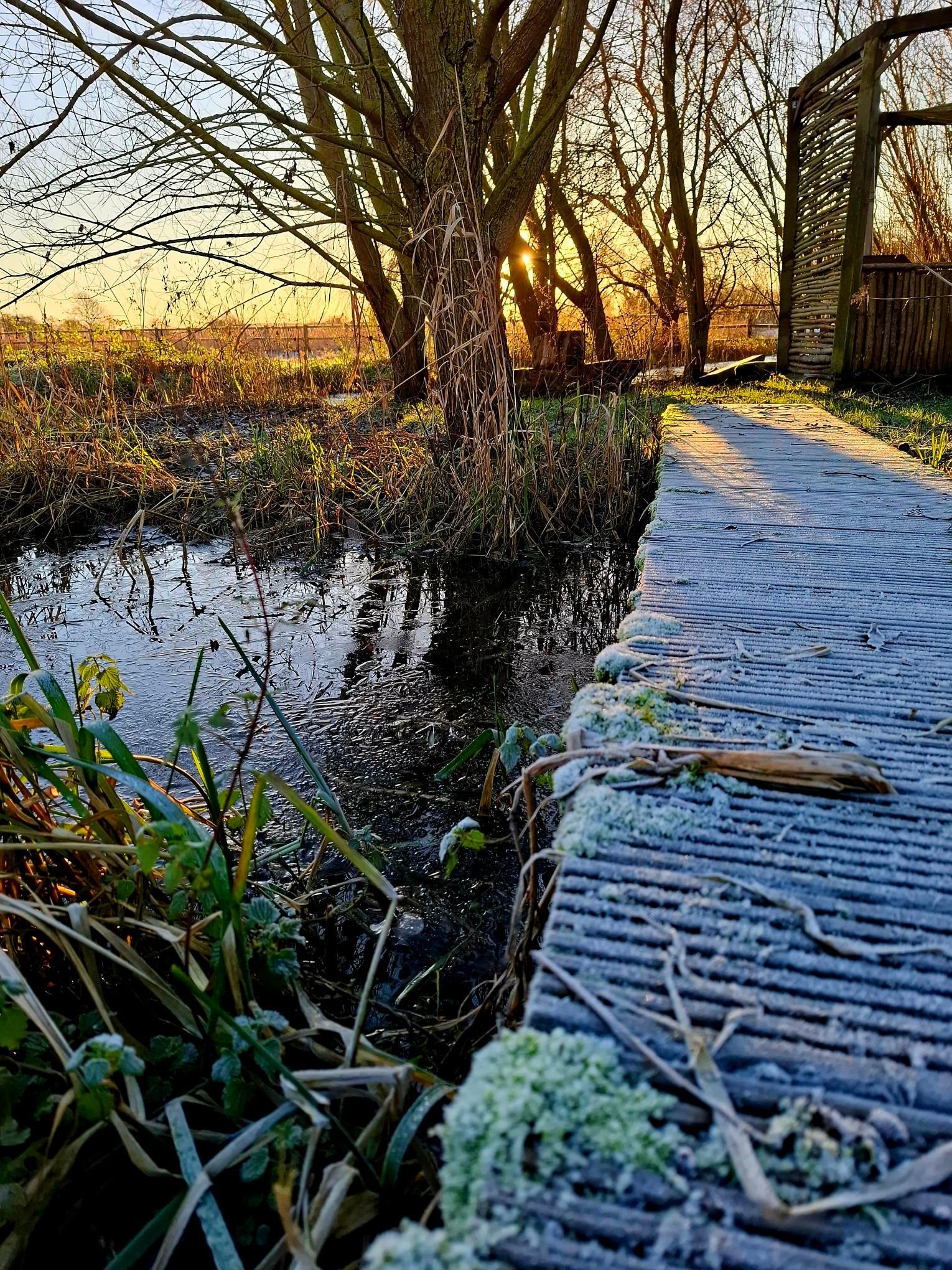 Wildlife friendly and sustainable garden design Northamptonshire