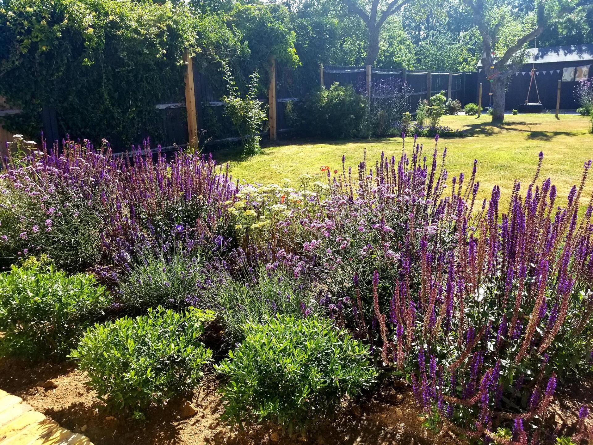 Wildlife friendly garden design with better climate resilience and responsible water use in  mind. Hand drawn designs, plans and illustrations, Oundle, Stamford, Peterborough, London and UK