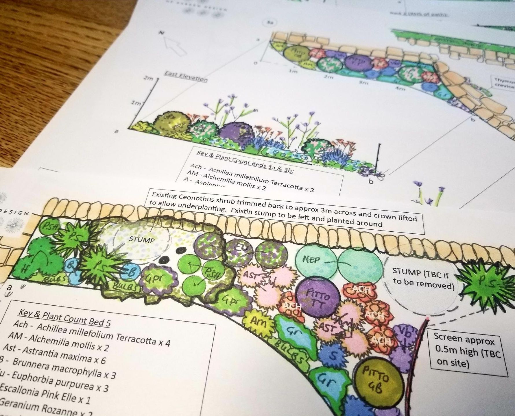 Hand drawn, bespoke planting plans for pollinators and wildlife