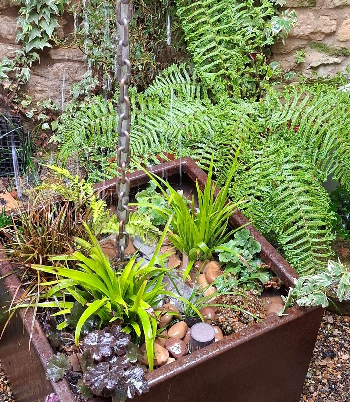Sustainable, low maintenance garden design Oundle, Stamford, Peterborough, Northamptonshire