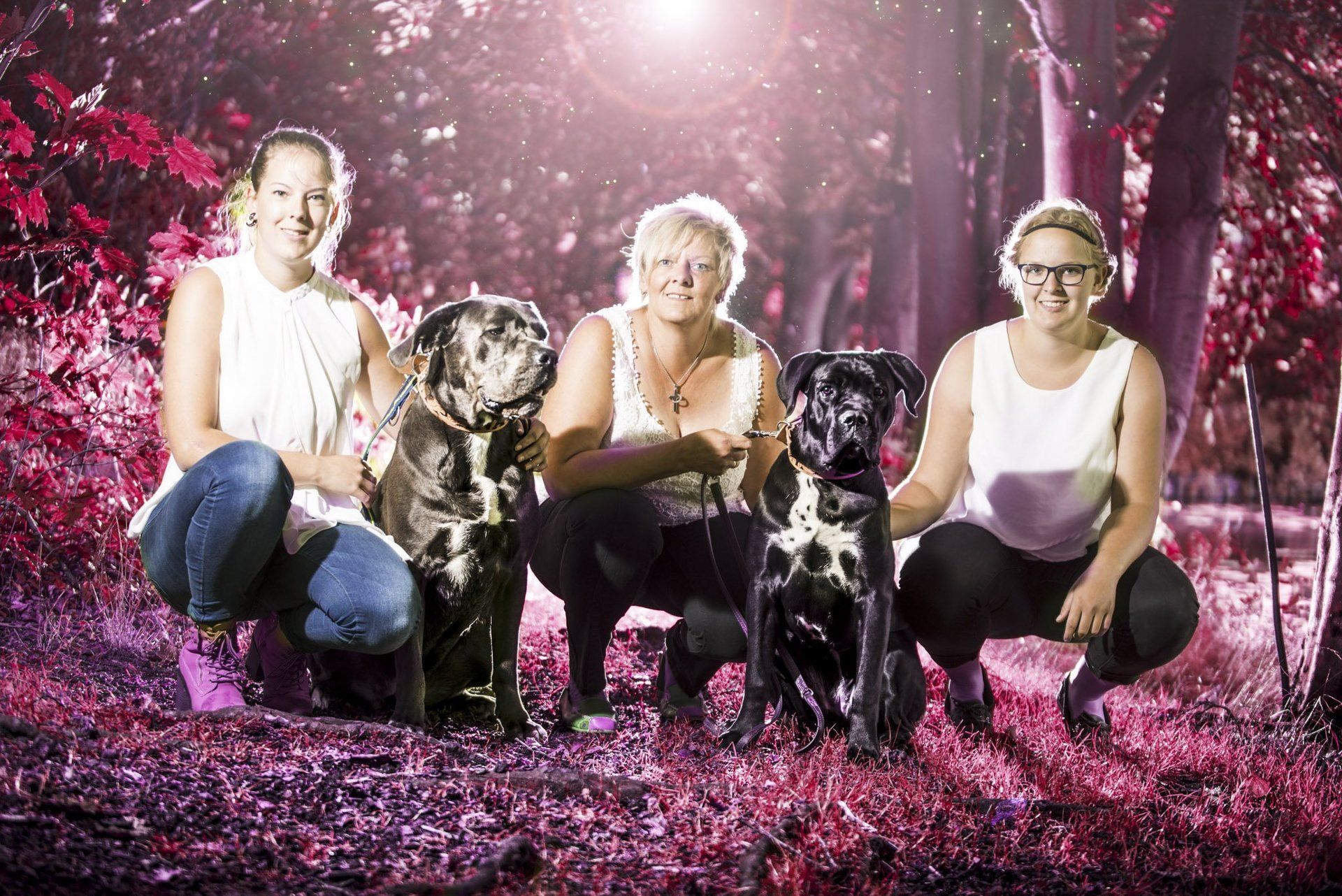 Freundschaftsshooting mit Hunden in Elmshorn