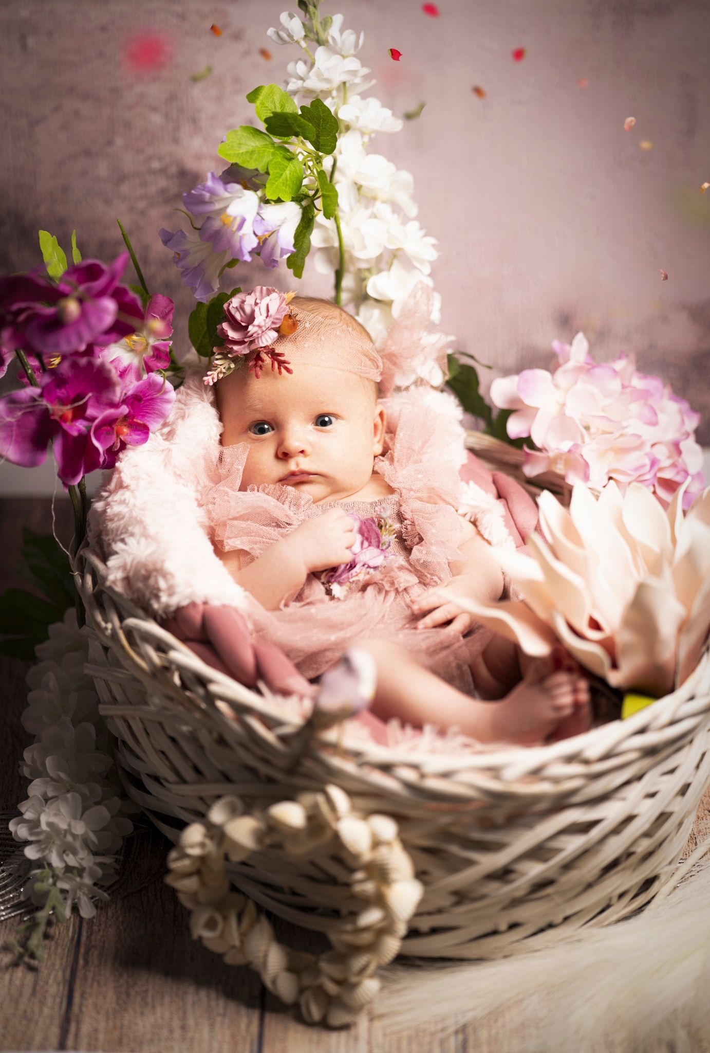 Newborn Baby Foto Hausbesuch in Itzehoe