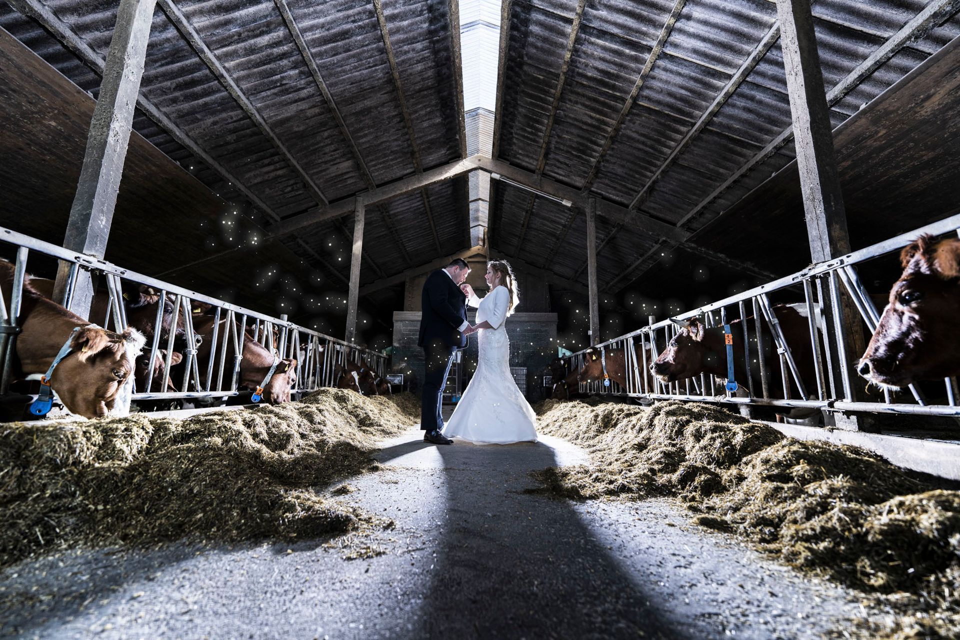 Kreative Hochzeitsfotos Fotos im Raum Itzehoe