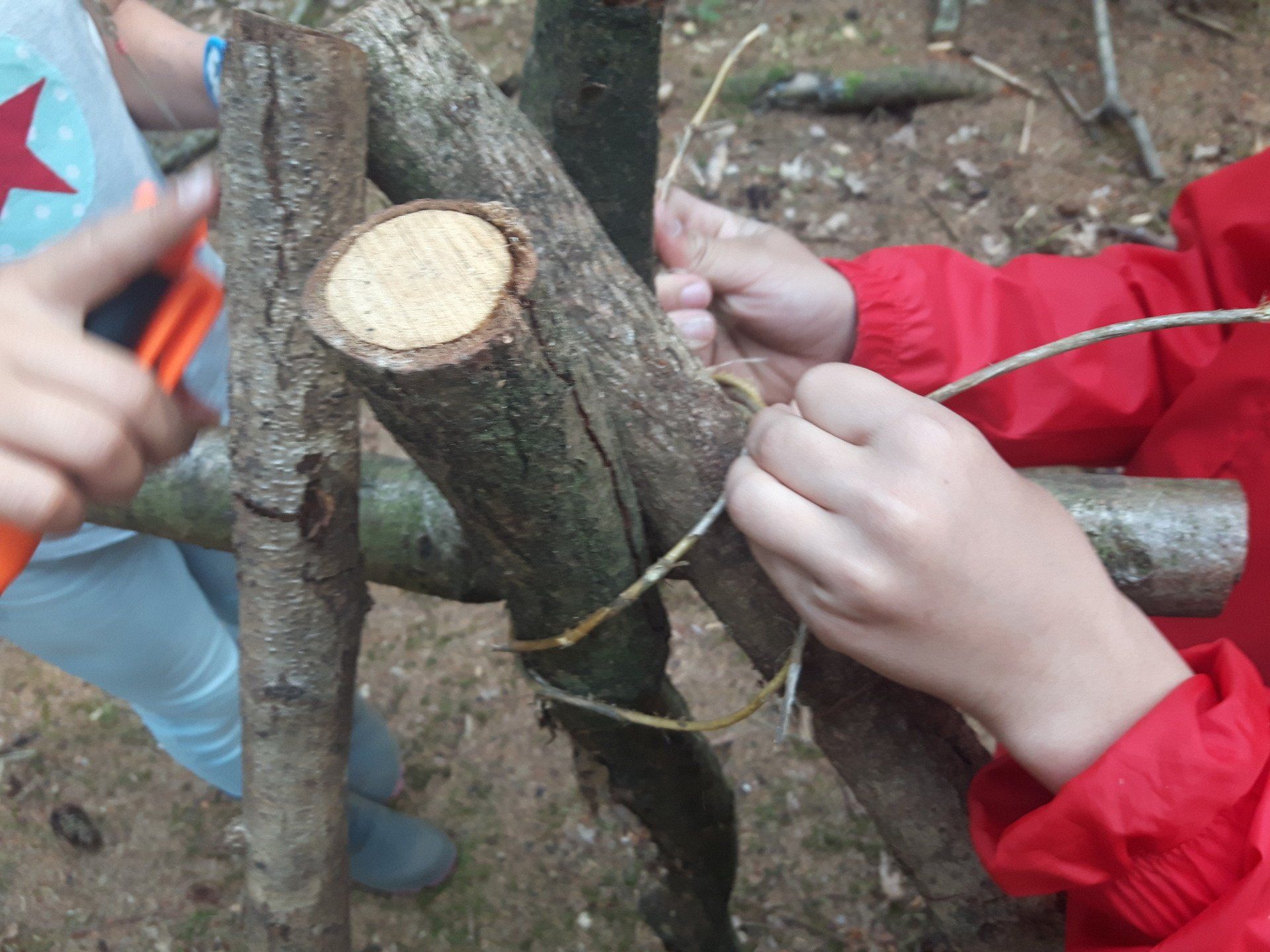 AZÜ.SH Kinder Natur Schule Outdoor Survival Kurs Lehrgang Deutschland Schleswig-Holstein