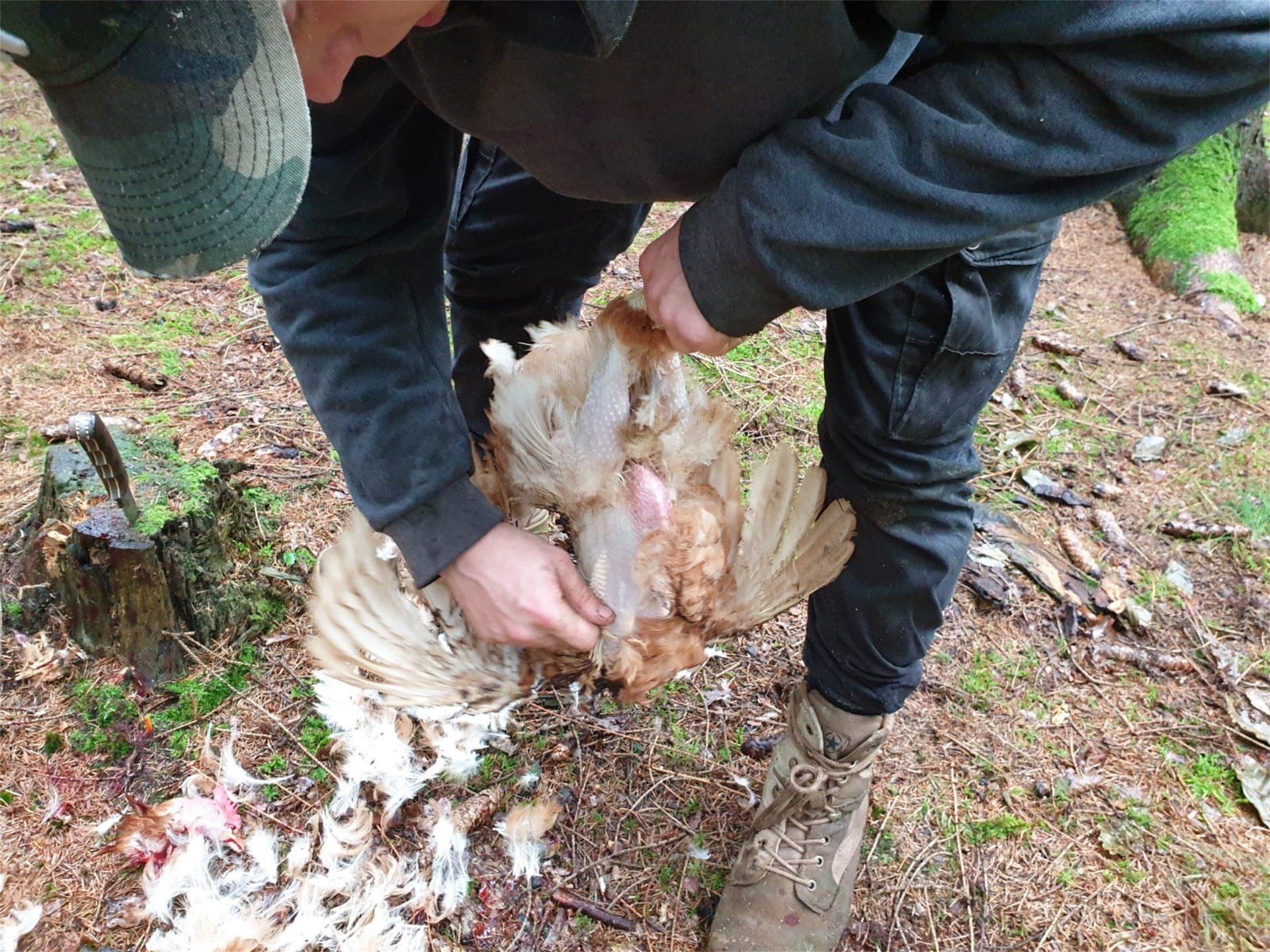 AZÜ.SH Wüste Desert Safari Urlaub Überlebenstraining Survivaltraining Survival Kurs Lehrgang Deutschland Schleswig-Holstein