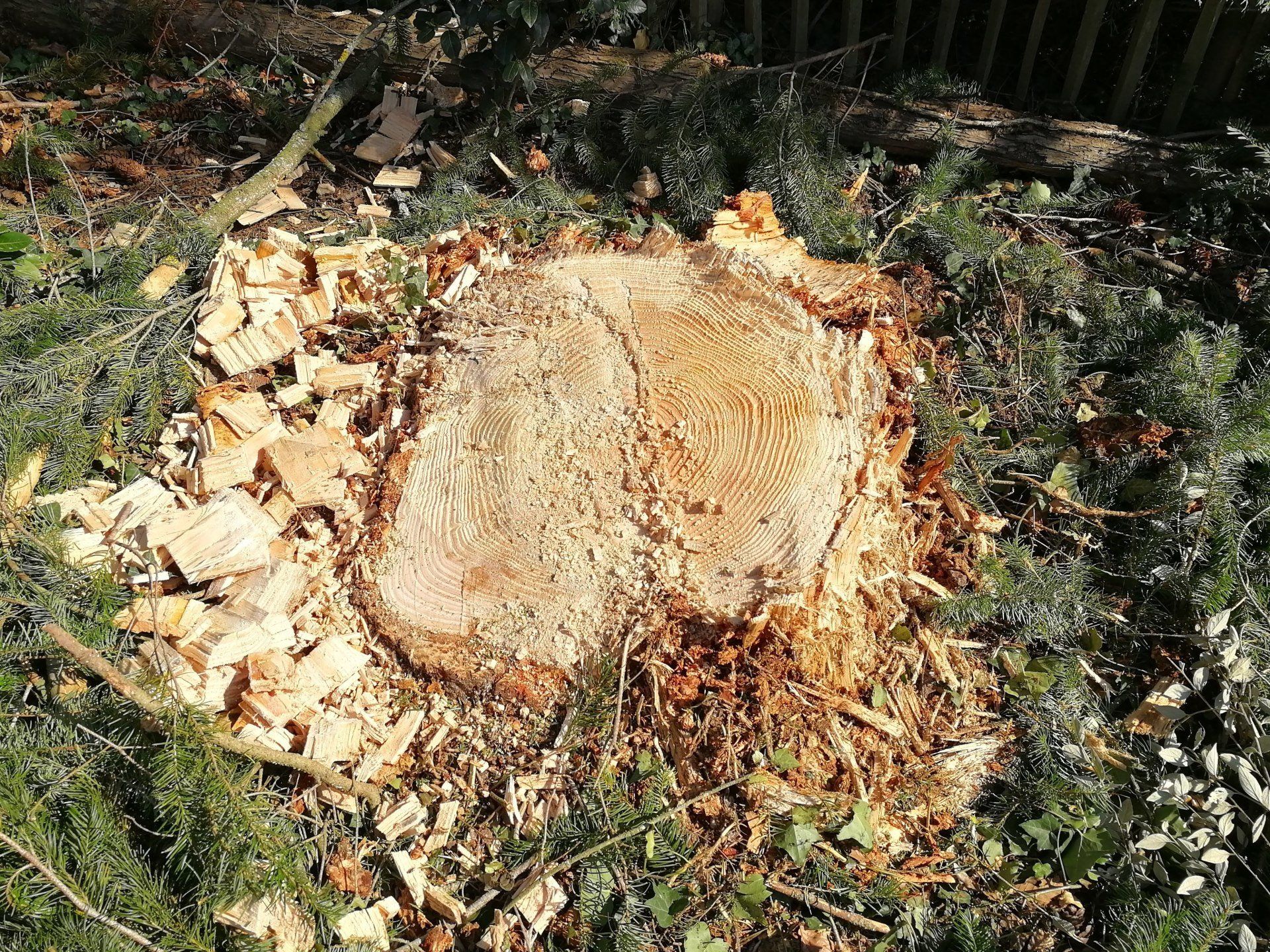 ESUS 550 : Sécateur forestier / Cisaille forestière / Grappin coupeur