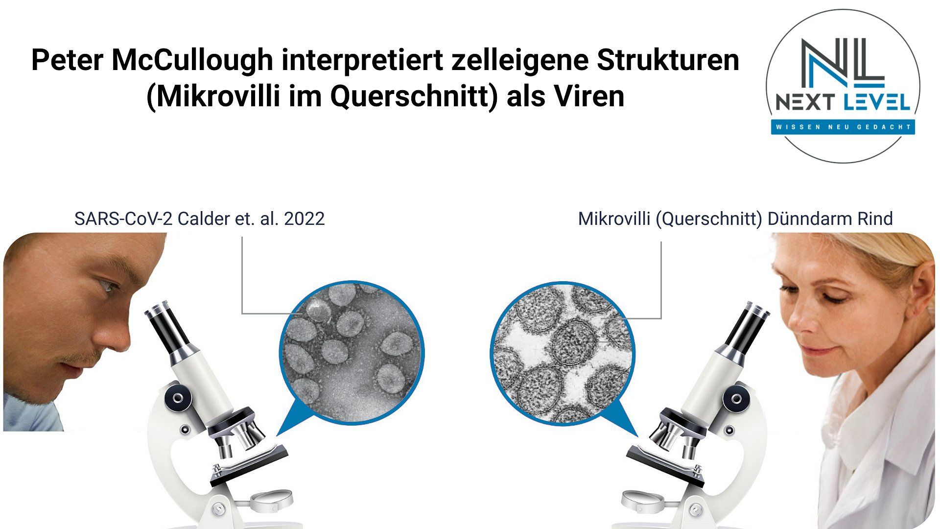 Bhakdi & Palmer im Irrtum