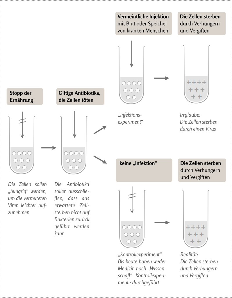 Bhakdi & Palmer im Irrtum