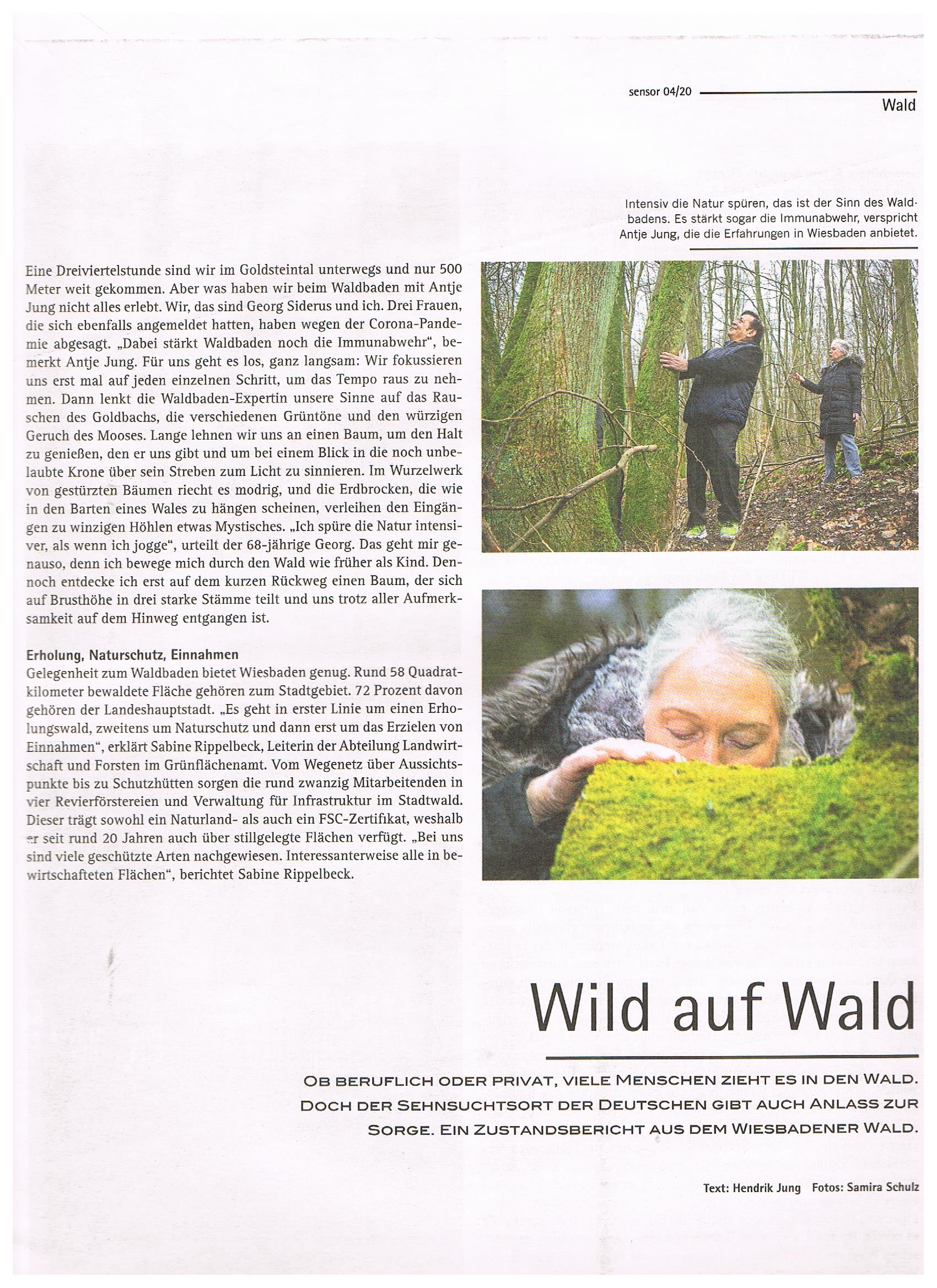 Waldbaden, Wiesbaden, Sensor, Coaching, NLP