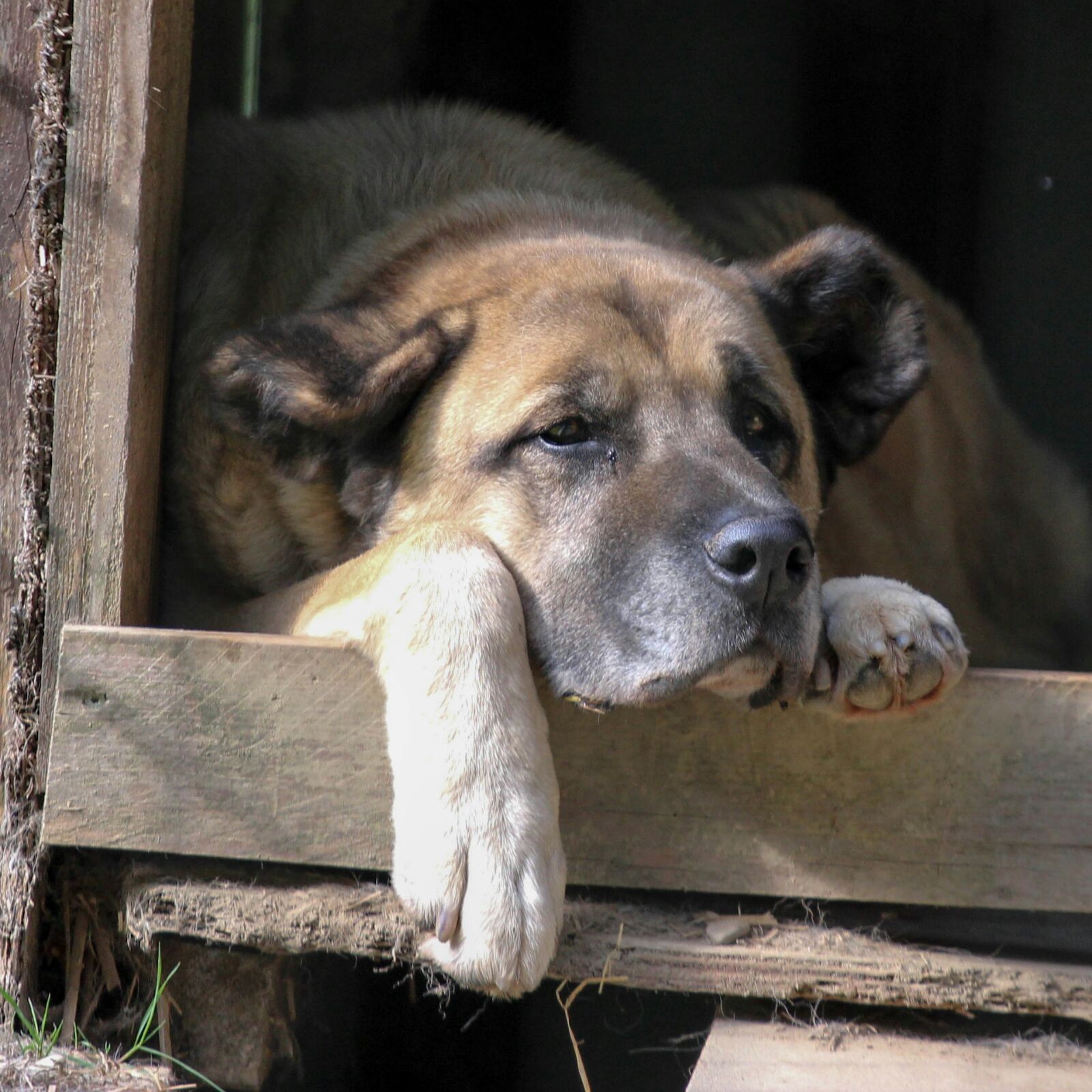 Tarik kam regelmäßig zur Physiotherapie in die Praxis