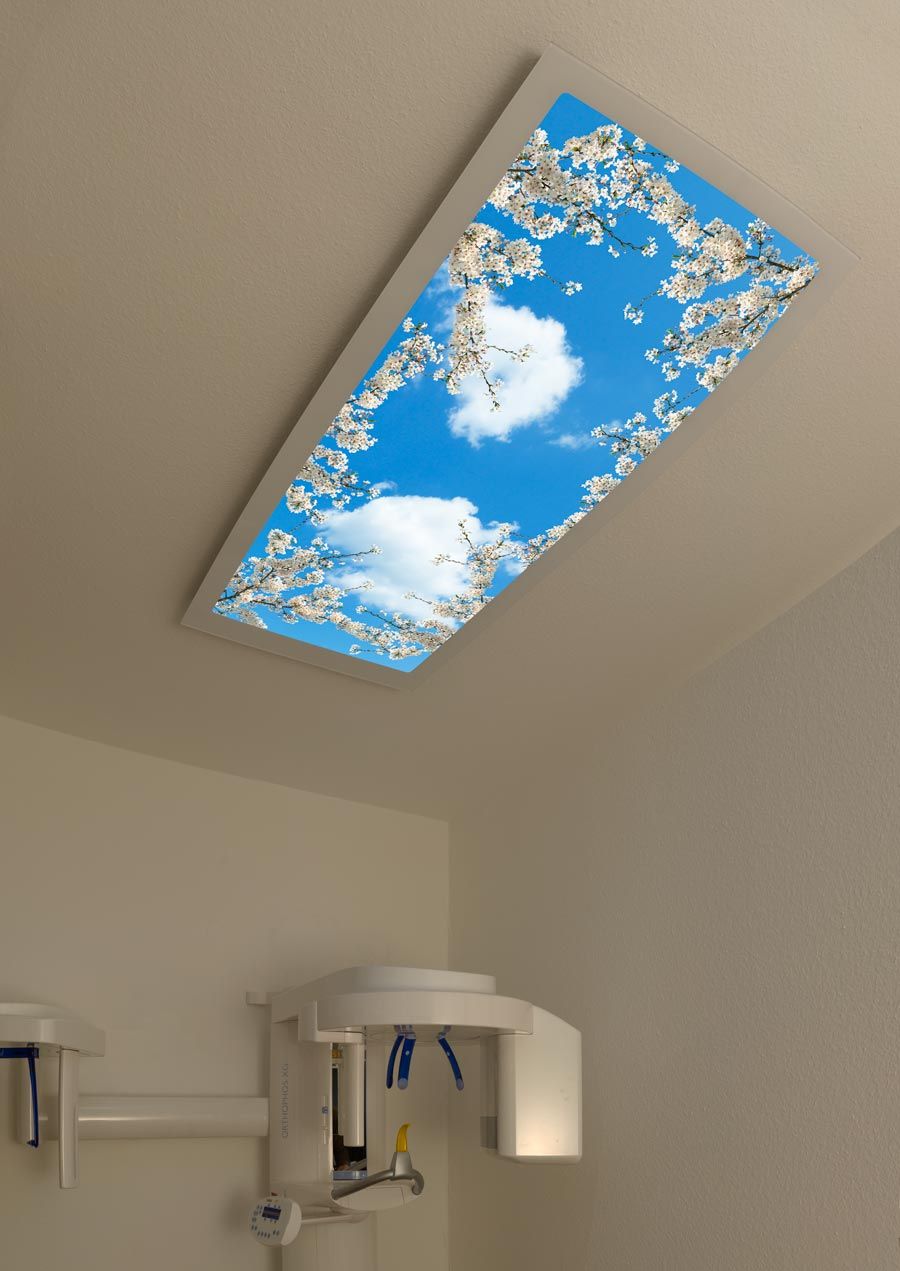 Deckenbild Delight Dr. Amann-Markovic