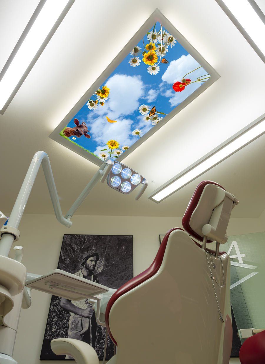 Deckenbild Delight Dr. Demmler