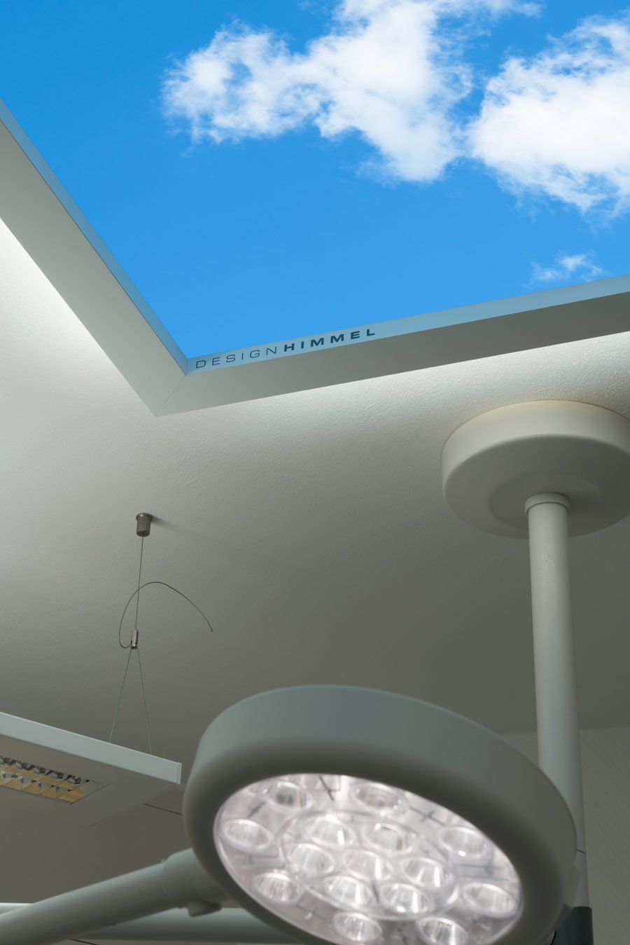 Deckenbild Delight