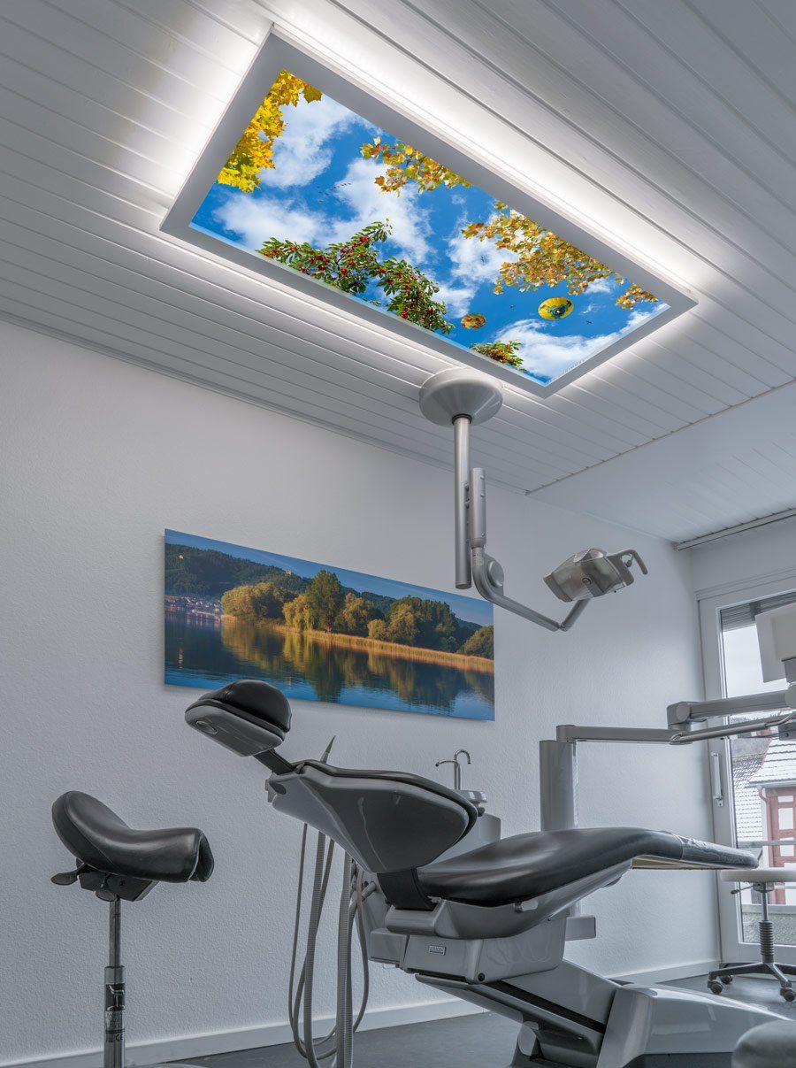 Deckenbild Delight Dr. Loher