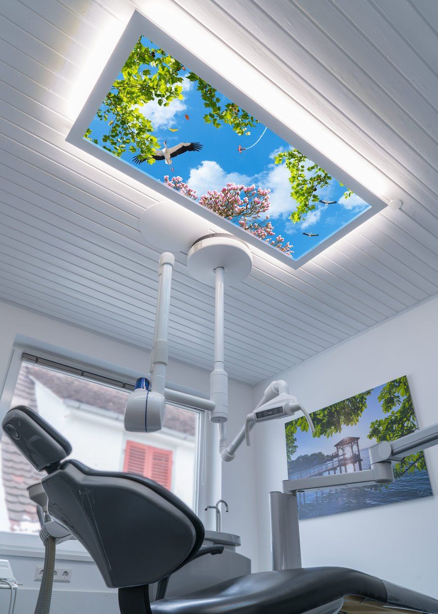 Deckenbild Delight Dr. Loher