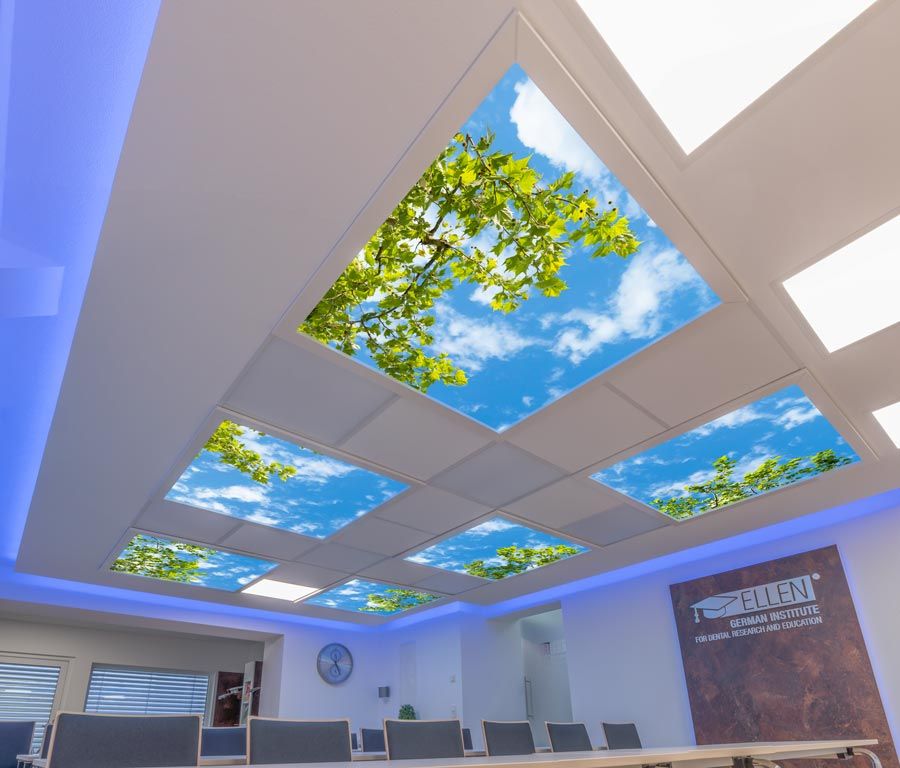 Deckenbild Delight Dr. Liebaug