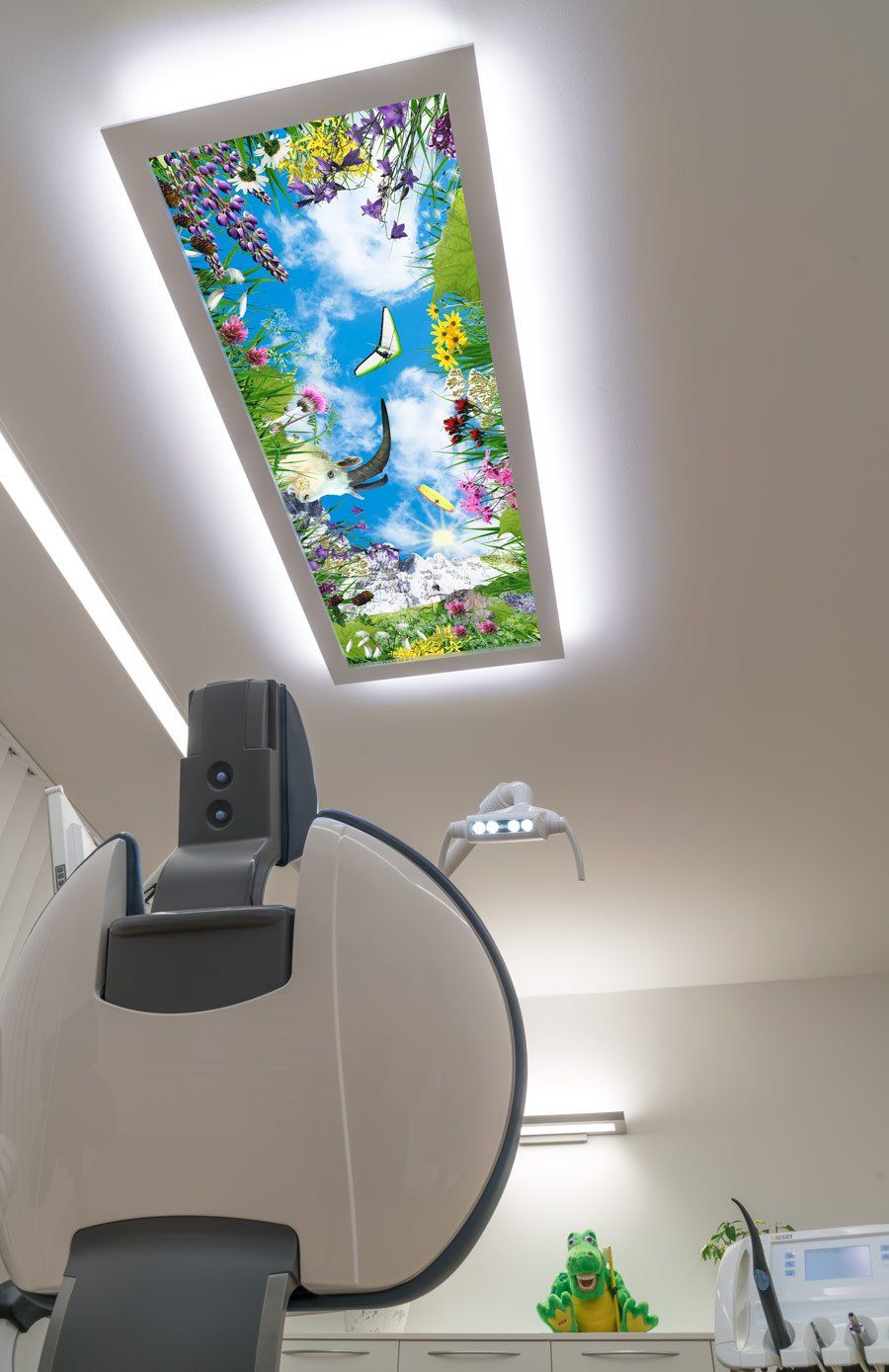 Deckenbild Delight Dr. Schlaupe