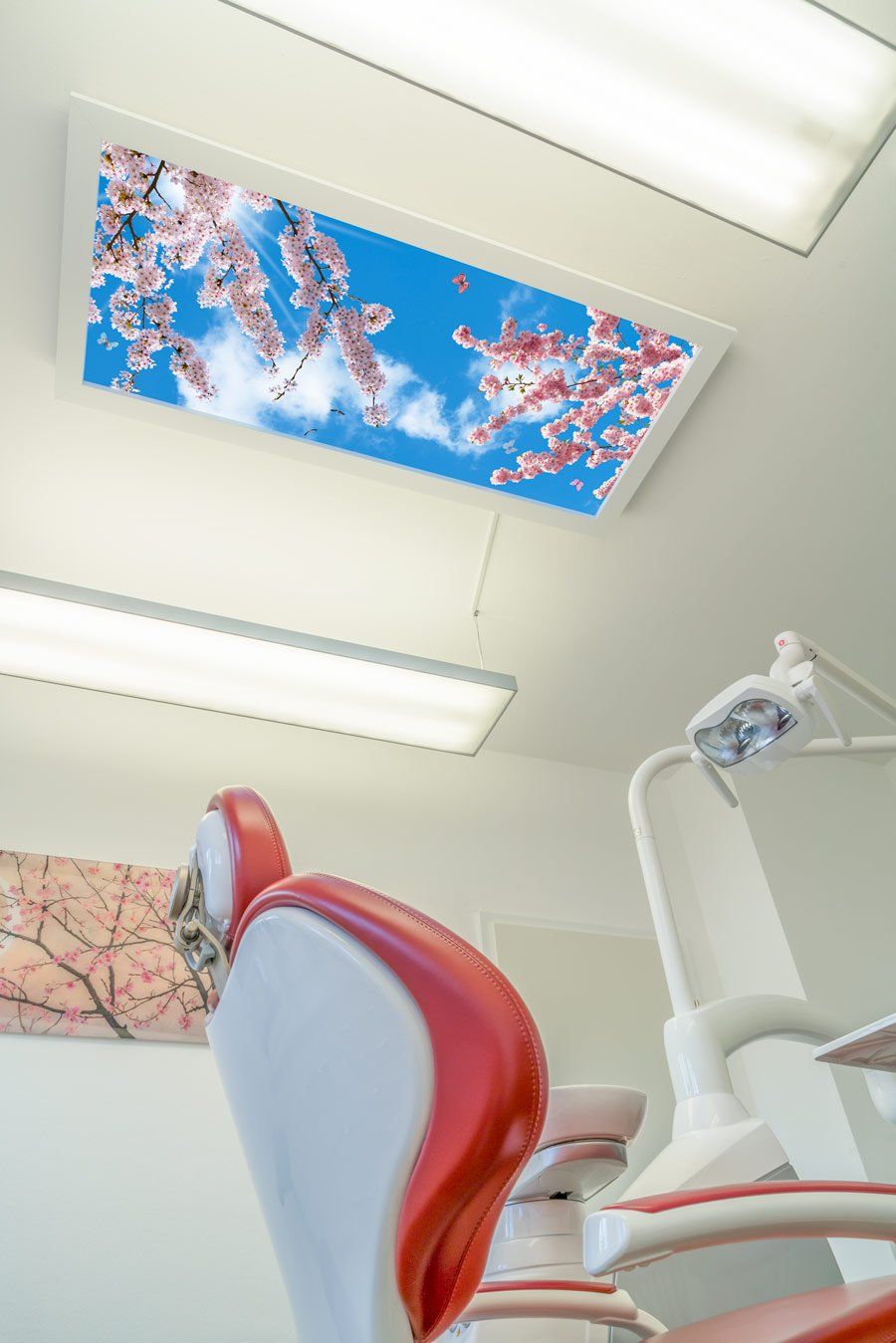 Deckenbild Delight Dr. Schweiger