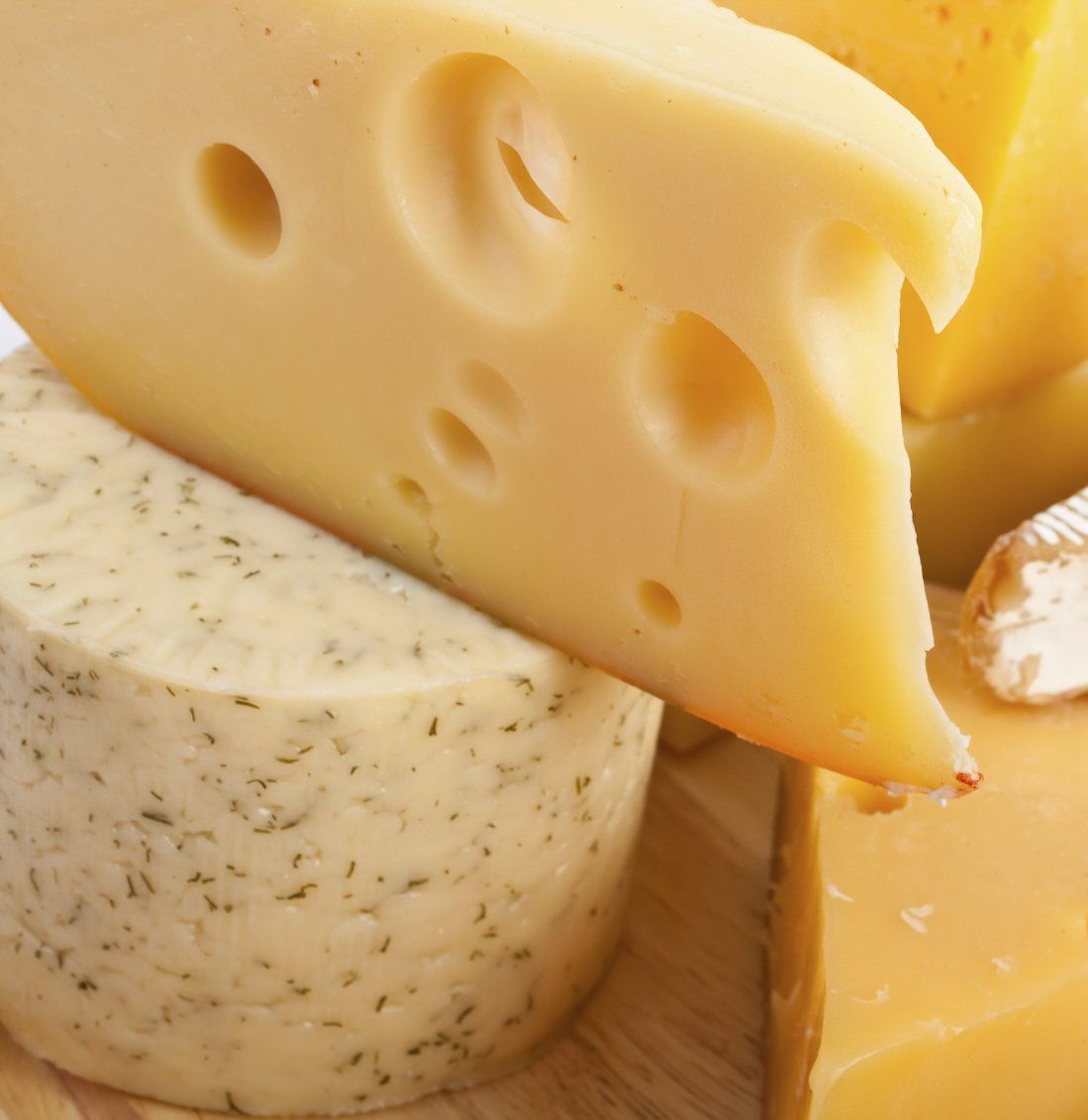 Event Hofkäserei Käseverkostung | Hofführung | Hofkäserei Rauscher | Käseprobe | Biokäse