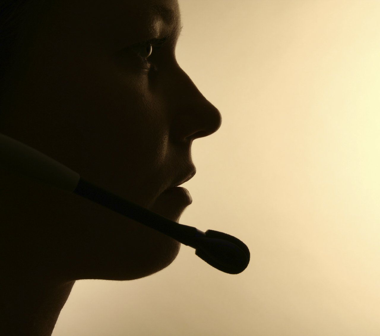 Bierseminar jetzt buchen Bierseminar | buchen | Bierseminar reservieren