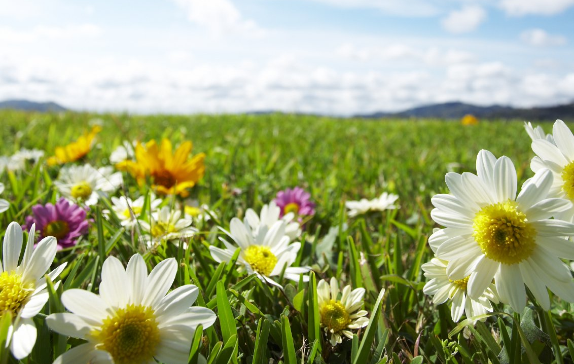 Arrangement zum Valentinstag Herz zum Valentinstag
