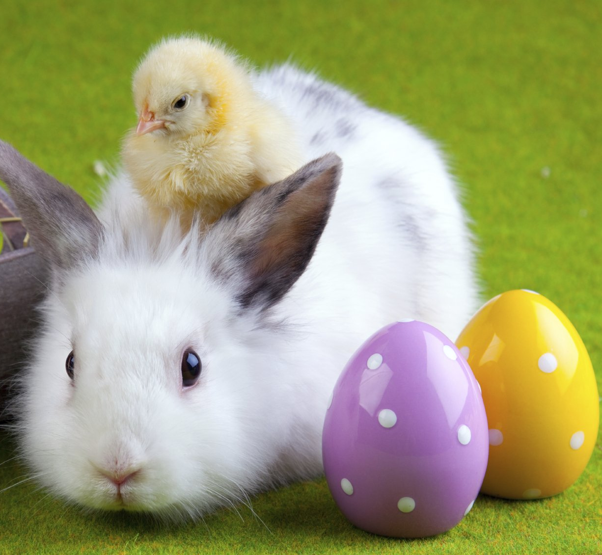Veranstaltungen im April 2026 Veranstaltungen im April im Brauerei Gasthof Lamm
