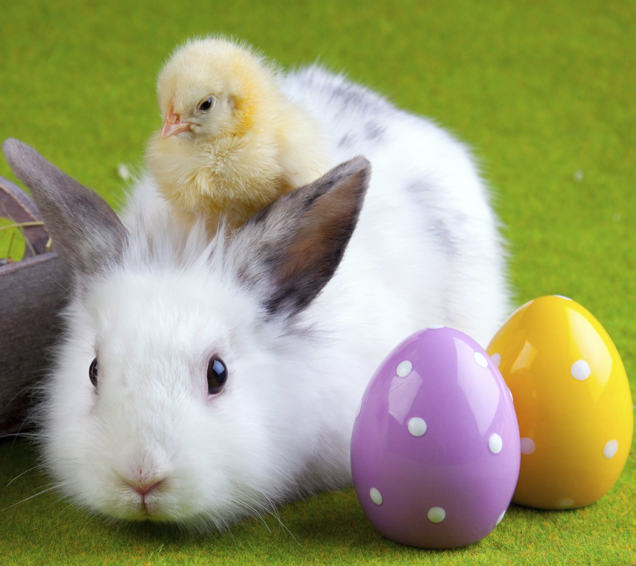Veranstaltungen im April 2026 Veranstaltungen im April im Brauerei Gasthof Lamm