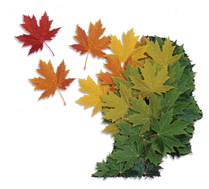 Teamevent Brainwalking Event | Brainwalking | Gedächtnistraining | Spazieren | Teambuilding