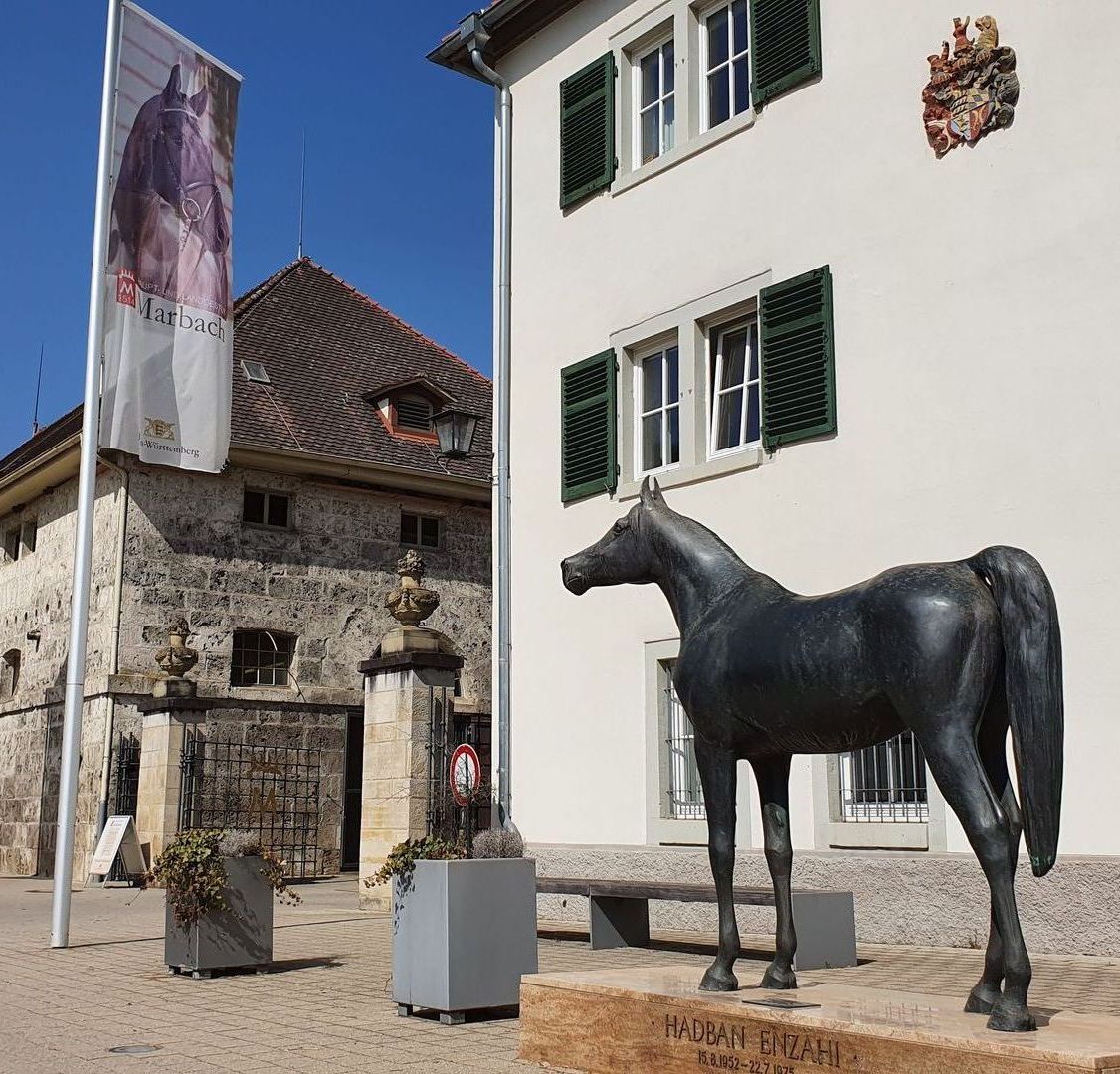 Haupt- und Landgestüt Marbach | Pferde | Hengstparade | Hotel | Restaurant