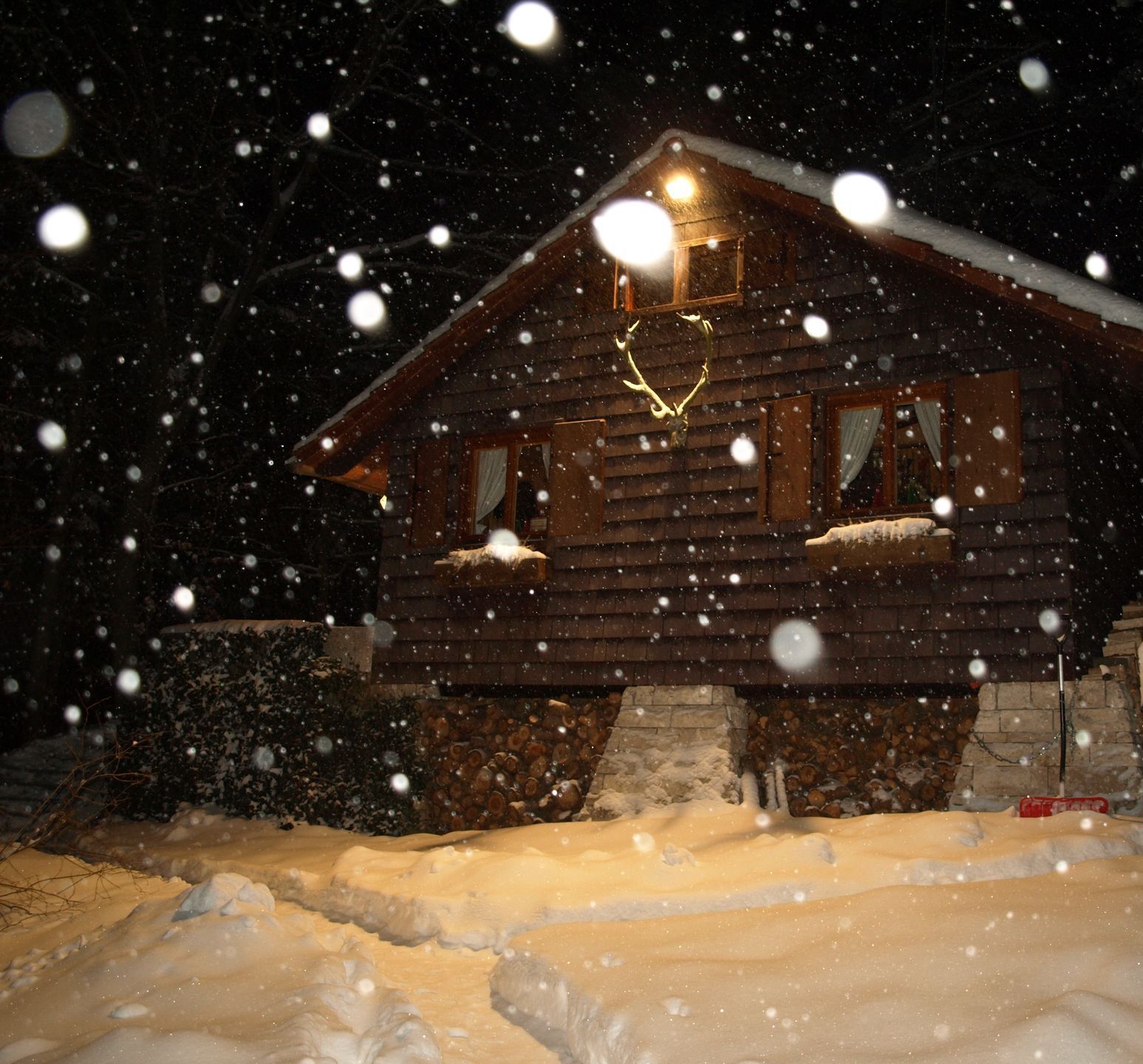 Silvesterprogramm | Jagdhütte | Hüttenabend | Silvesterabend | Silvestermenü