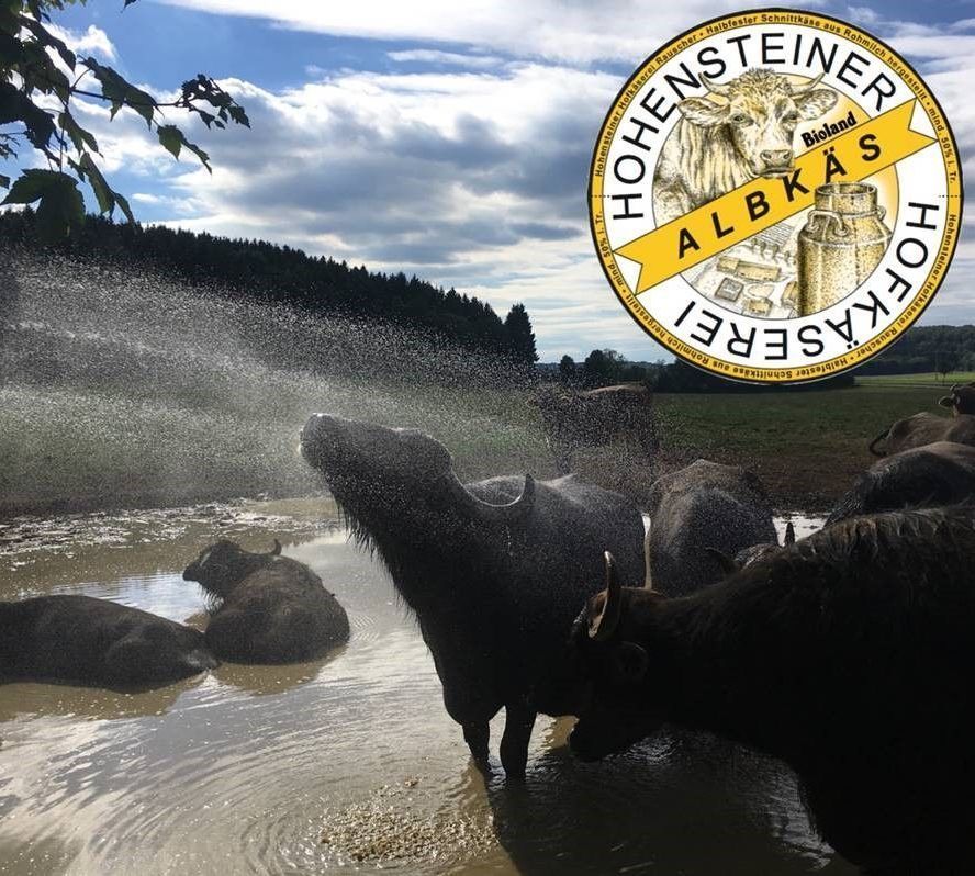 Neujahr Neujahr | Silvester | Silvesterprogramm | Silvesteraufenthalt 2025 | Neujahrsbrunch