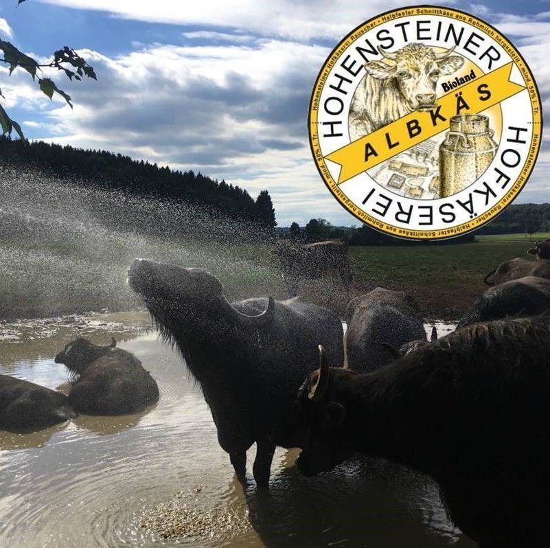 Event Hofolympiade Event | Hofolympiade | Teambuildung Olympiade | Rahmenprogramm