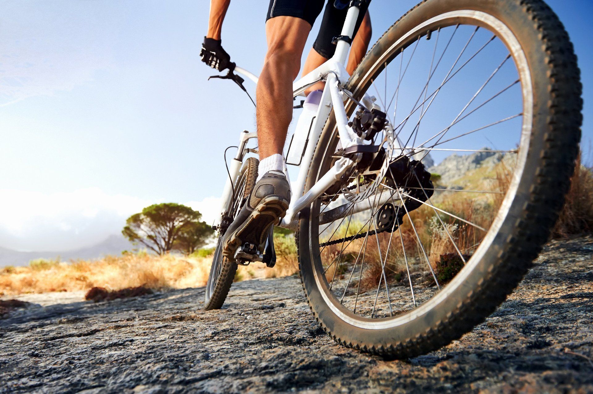 Mountainbiker auf sonnigem Naturweg im Biosphärengebiet Schwäbische Alb beim Radfahren