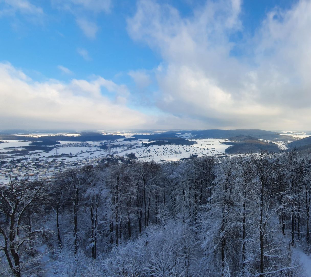 Winterlandschaft mit verschneiten Wäldern und Blick über die Schwäbische Alb ideal für Langlauf