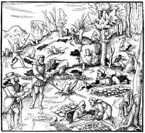 Rutengehen, Wasseradern, Erdstahlen - Hilfe und Beratung