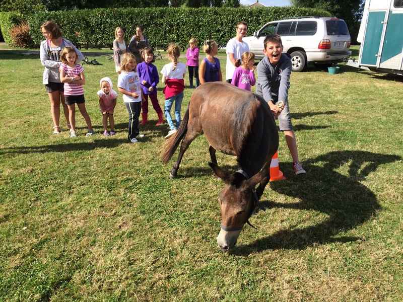 animation poney au crotoy