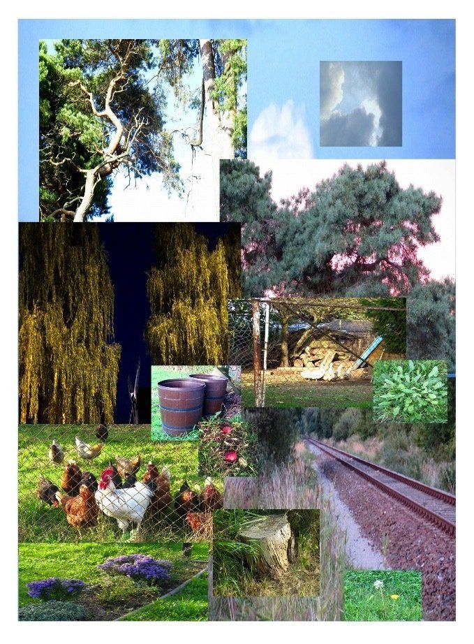 17. Fotomontage - Leben in M-V - Plakat