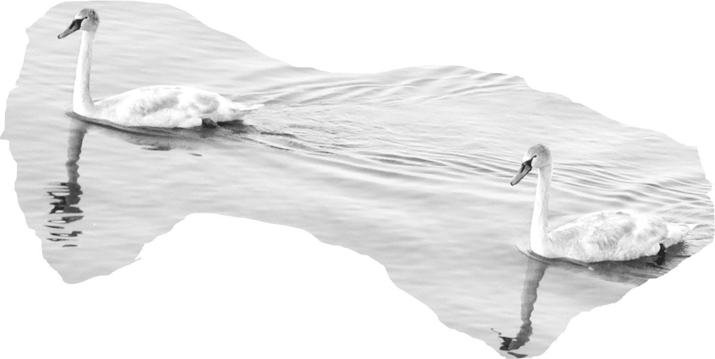 Neues Jahr - neue bessere Vorsätze? Laufen und Radfahren vielleicht? Schwimmen ist auch sehr entspannend. Das Wandern auf einen Berg ersetzt vielleicht das mühsame Beten und Buße tun. Muss ja nicht jeder wissen ... Der verträumte Blick übers Wasser hin zum Horizont bei Abendrot ... Neues Jahr - neue bessere Vorsätze? Laufen und Radfahren vielleicht? Schwimmen ist auch sehr entspannend. Das Wandern auf einen Berg ersetzt vielleicht das mühsame Beten und Buße tun. Muss ja nicht jeder wissen ... Der verträumte Blick übers Wasser hin zum Horizont bei Abendrot ...