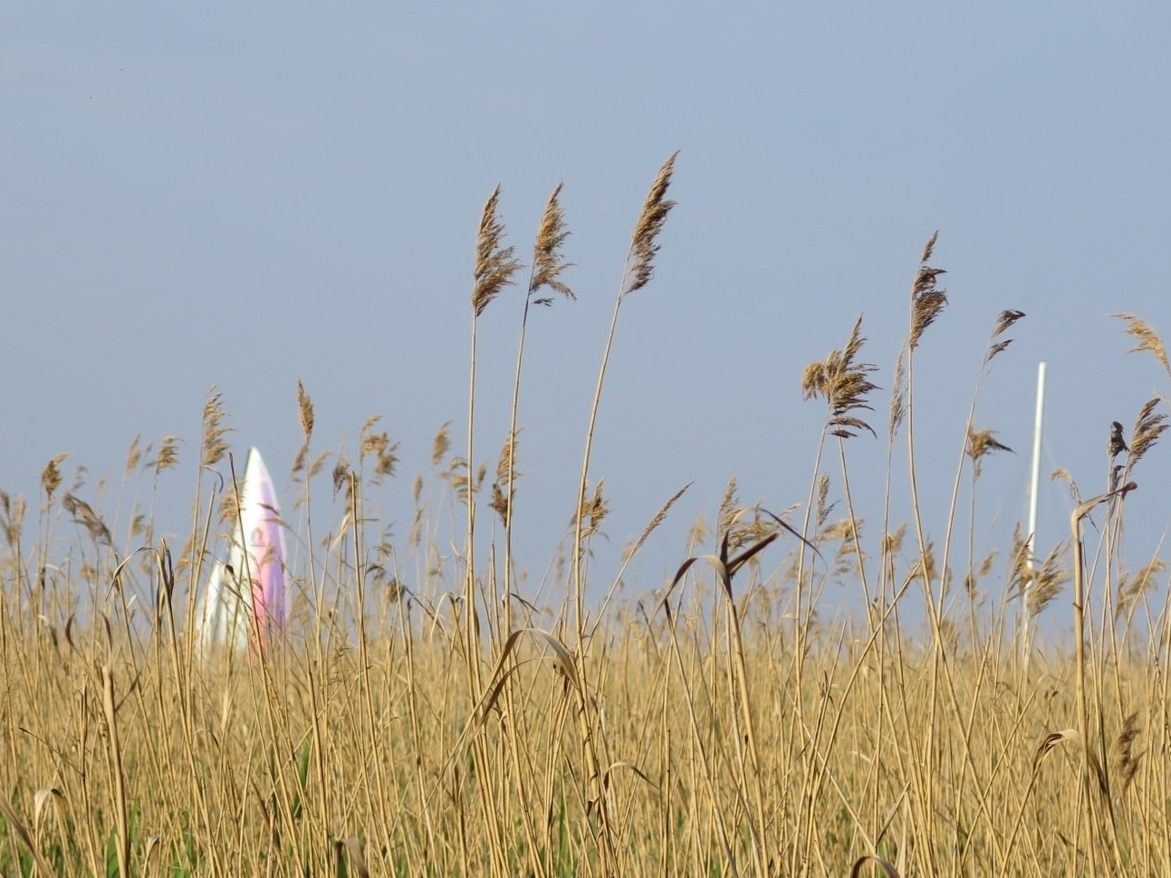 11. am Achterwasser - Postkarte?