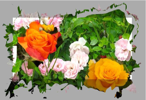 25. kleine Glückwunschkarte - Fotomontage