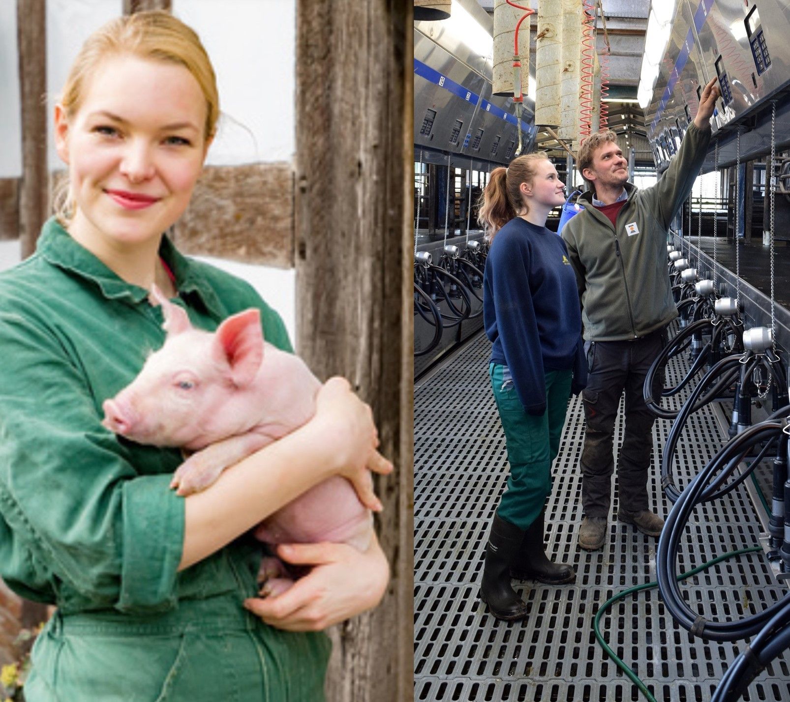 Teilqualifikation FR Riderhaltung & Schweinehaltung