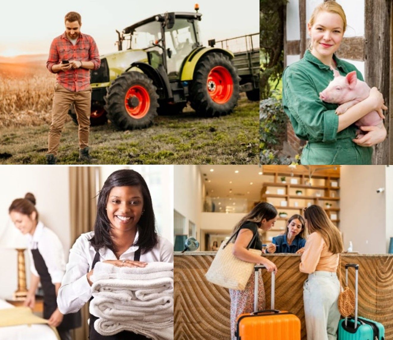 Fachlehrgänge Landwirtschaft und Tourismus