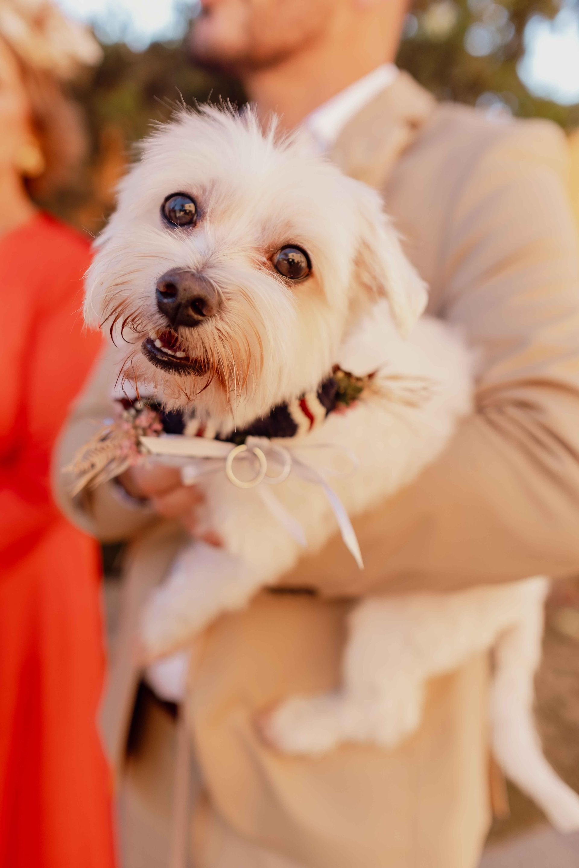 I Do Bodas - Servicio de Wedding Planner